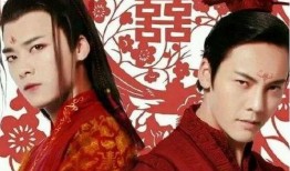 王子嫁衣在线观看,穿越时空的浪漫邂逅